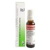 Dr. Reckeweg R67 Circulatory Debility Drop 22 Ml