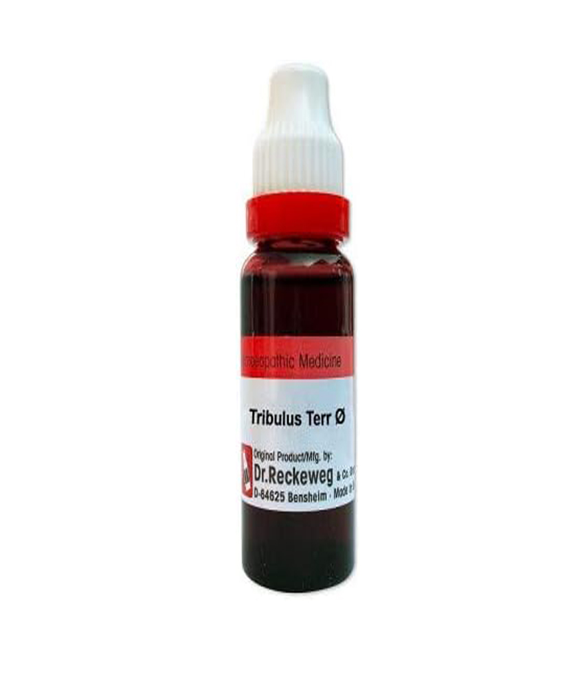 Dr. Reckeweg Tribulus Terr Mother Tincture Q 20 Ml