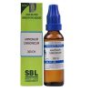 Sbl Ammonium Carbonicum Dilution 200 Ch 30ml