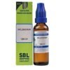 Sbl Influenzinum Dilution 1000 Ch 30ml