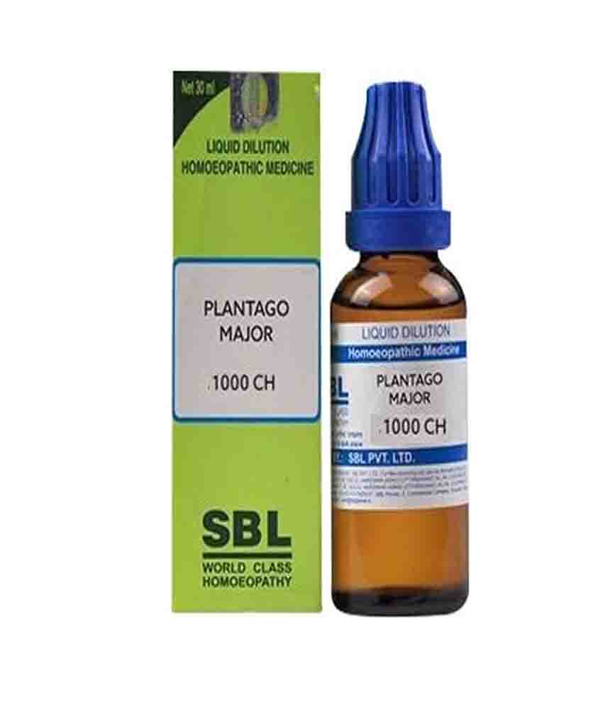 Sbl Plantago Major Dilution 1000 Ch 30ml