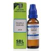 Sbl Pulsatilla Nigricans Dilution 30 Ch 30ml