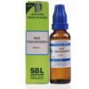 Sbl Rhus Toxicodendron Dilution 10M Ch 30ml