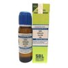 Sbl Sabal Serrulata Dilution 6 CH 30ml