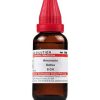 Dr Willmar Schwabe India Armoracia Sativa Dilution 6 CH